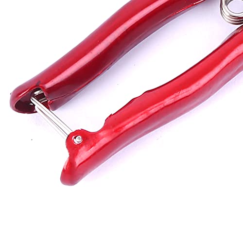 Grass Sheep Shear - Coated Wear-Resistant Handle, Manganese Steel Double-Edged, Strong Spring Suitable For Manual Shearing of Cow, Sheep, and Horse Hair (Red 12.6 inches) - color: Red 12.6 Inches