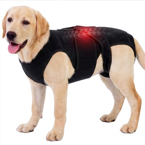 Dog Back Brace for IVDD Recovery, Adjustable Dog Spine Support Harness for Dachshund Corgi French Bulldog Pug, Pain Relief Back Protector for Senior,Post‑Surgery,Long‑Bodied & Overweight Dogs, 2XL - size: XX-Large