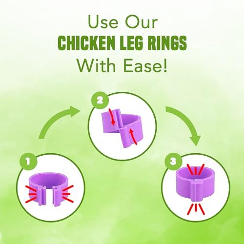 JOR Chicken Leg Bands - Numbered & Multi-Colored Poultry Plastic Band for Ducks, Turkeys, Birds, Quails, Pigeons, etc., Clip-on Rings, Chicken Identification - 0.6", 100 Pcs per Pack