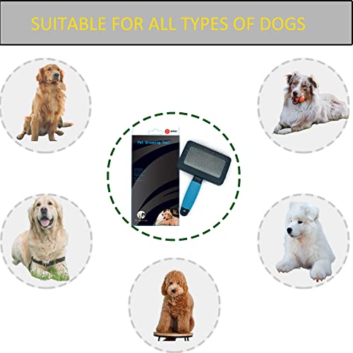 Dog Brush For Long Haired Dogs Poodles-Dog brushes for grooming&shedding-Large Firm Slicker Brush for Goldendoodles-With Soft Massage Grooming Stainless Steel Pins, Pet Grooming Wire Brush-25mm(1") - size: Bule