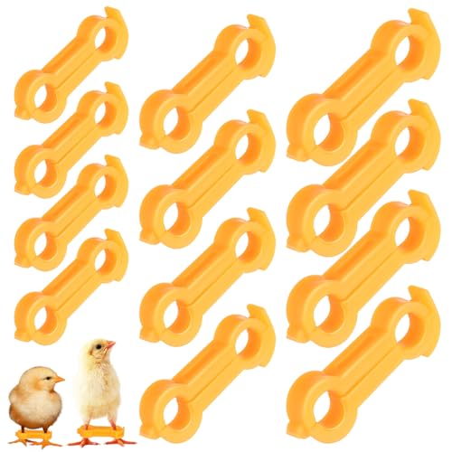Chick Leg Bands, Splay Leg Brace Multi Size Poultry Splint | 4mm 5mm 6mm PVC supports, adjustable bird foot brace set for baby chicks, ducks, quails and pigeons