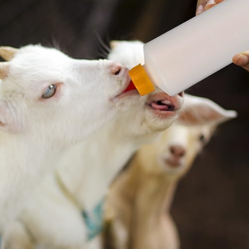 TOYANDONA Goat Bottles and Nipples - 5pcs Lamb Feeding Bottle Animal Milk Feeder 400 Ml with 5pcs Replacement Nipples for Feeding Sheep Goat Lamb Calf Livestock