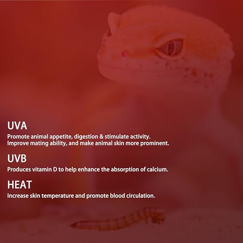3 Pack G9 Infrared Heat Lamp Bulbs - Dimmable Night Red UVA Reptile Heat Lamp, 2 Pin Base Mini Reptile Light Bulb Replacement (50 Watt)