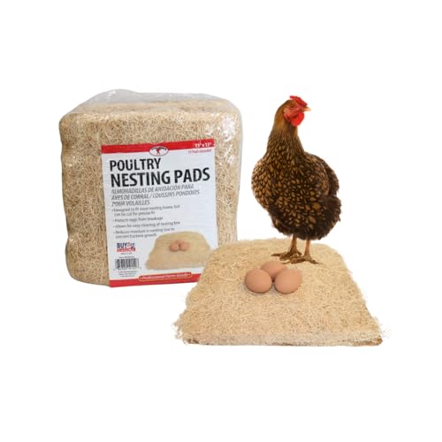 Little Giant® Poultry Nesting Pad - Fiber Pad Fits Most Chicken and Hen Nesting Boxes - Set of 10 Pads - Made in USA