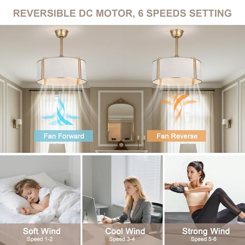 19.2" Gold Fandelier Ceiling Fan with Light Boho Caged Chandelier | for Bedroom Nursery Living Room, Mid-Century Modern Small Enclosed Bladeless, Reversible 6 Speeds, 4 E26 Bulbs (Not Included) - color: Gold Cage