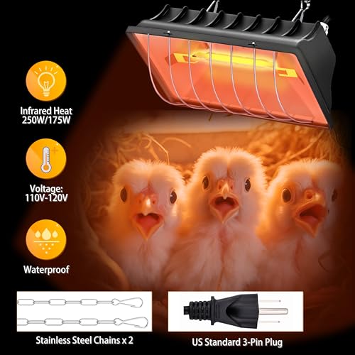 Heat Lamp for Chickens, 250W Chicken Heat Lamp, Brooder Heater for Chicks, Hanging Light Heated Adjustable Temp & Height, with Anti-Fall Aluminum Alloy Lamp Shade, for Chick, Ducks, Poultry (black) - color: black