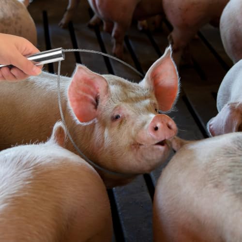 Yardwe 2 Pack Pig Catching Snares, 33.26 Inch Wire Loop Livestock Restraint Tools with Short T-Handles for Ranch and Farm Pig Handling