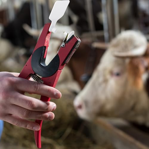 Lothee 100 Pcs Blank Cattle Ear Tags Large Plastic Precision Animal Identification Blank Livestock Ear Tags for Cattle Cow Horse Dog Pig Goat Sheep Farm Management (White) - color: White