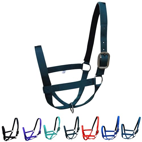 Majestic Ally Adjustable Nylon Cattle Halter with Padded Crown and Nose - 6-Month Warranty - color: Hunter Green