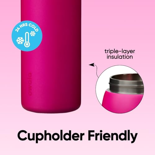 Owala FreeSip Stainless Steel Water Bottle 32 oz Read My Lips - color: Read My Lips, size: 32 Ounces