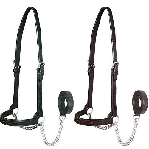 Derby Originals Premium Fancy Stitch Flat Leather Cattle Show Halter – Adjustable Fit with 48" Lead and 14" Chain, Small/Medium/Large – 1-Year Warranty - color: Black, size: Large (950lbs-1500lbs)