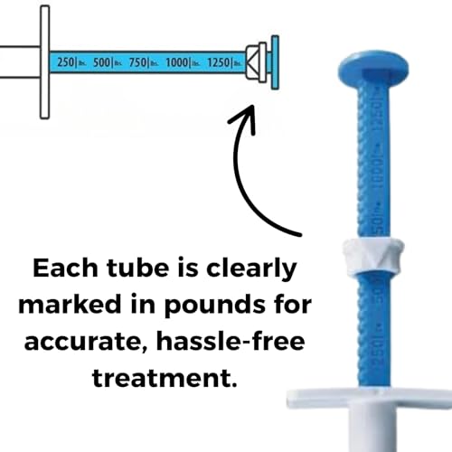 Horse Paste – Oral Syringes – 6.08g Tubes – Adjustable Weight Markings – For Horses Up to 1,250 lbs (Pack of 2)