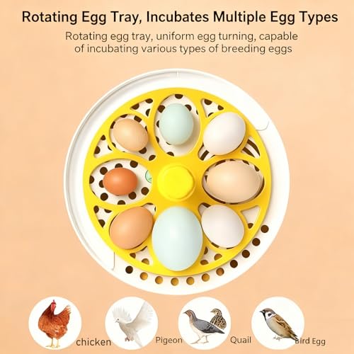 Egg Incubator with Manual Egg Turning & Humidity Control, Incubators for Hatching Eggs, Poultry Incubator for Chicken Duck Goose Quail Bird Eggs, for Kids (Manual)