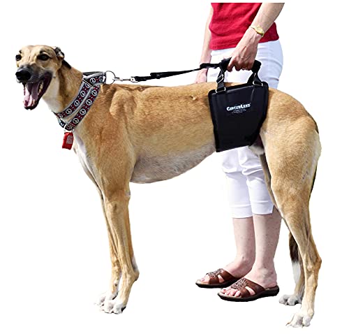 GINGERLEAD Dog Support Harness, Rear End Lift Sling, Tall Male, Made in USA | Fits Tall, Lean Dogs like Greyhounds or Great Danes, Padded Mobility Aid, Help Pets Walk or Balance, Machine Wash & Dry - size: Tall - Male