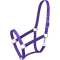 Tough1 Economy Pony Halter - color: Purple, size: Horse