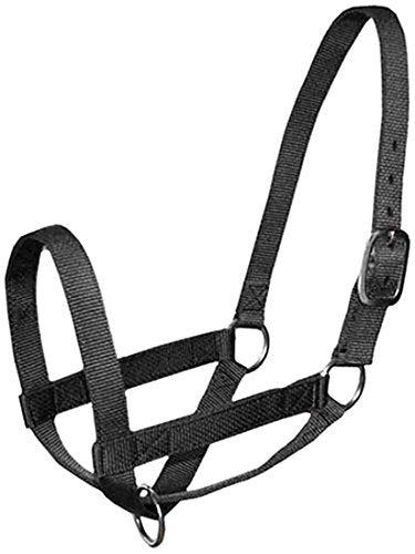 Derby Originals Adjustable Nylon Livestock Cattle Halters - color: Black, size: Large (800-1400lbs)