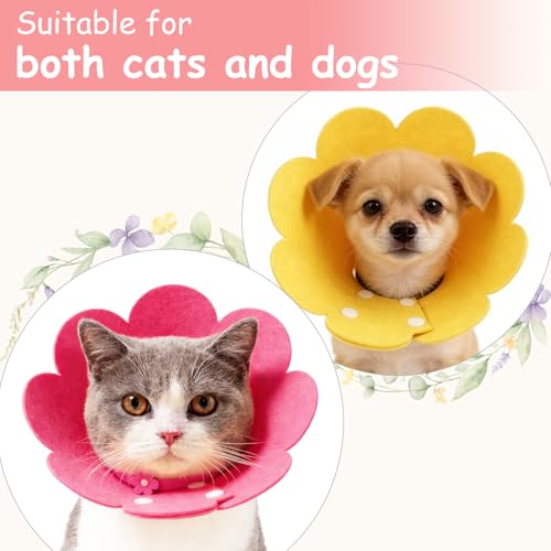 Felt Cat Recovery Collar, Cute Flower Cat Recovery Collar Adjustable Recovery Cones (2Pcs, XS 5.1-6.3inch, Orange/Sky Blue) for Small Dogs Kittens Cats - color: Orange/Blue, size: XS（0-1 KG/0-2.2 lb）