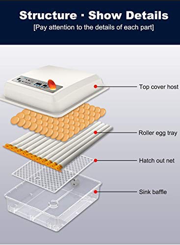 Egg Incubator,Egg Incubator with Automatic Egg Turning and Humidity Control,Poultry Hatcher for Chickens Ducks Birds (56 Eggs) - size: 56 Eggs