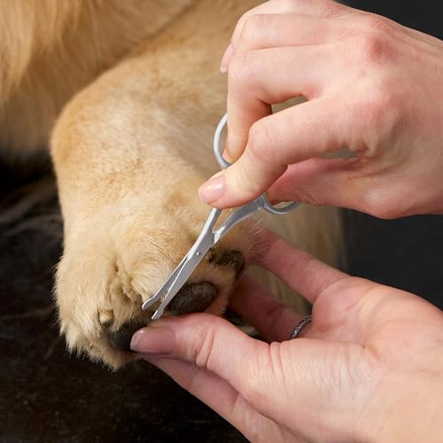 Tweezerman Pet Grooming Scissors-Rounded Tip Trimming Scissor for Dogs/Cats - style: Scissors
