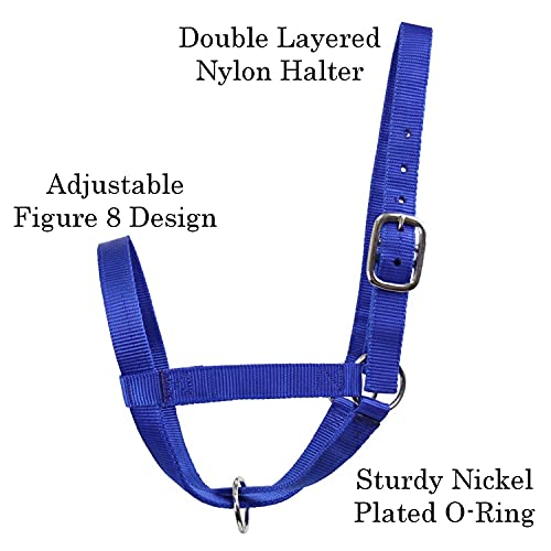 Derby Originals Adjustable Nylon Livestock Cattle Halters - color: Lime Green, size: Small (250-500lbs)
