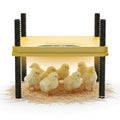 Heating Plate for Chick Brooder Adjustable 75W Chicken Heat Plate 10 x 10 Inch Warmer Brooder Heater for 10-12 Chicks ABC Plastic Material