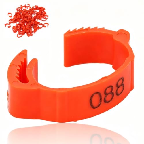 100Pcs Chicken Leg Rings, 5 Colors Readable Numbered Chicken Identification Leg Bands Card Slots Design Poultry Leg Tags for Chicks Ducks (Red (100 Pieces per Pack)) - color: Red (100 Pieces Per Pack)