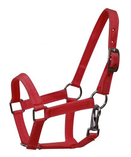 Nylon Small Pony Halter with Nickel Plated Hardware and Throat Latch - color: Red