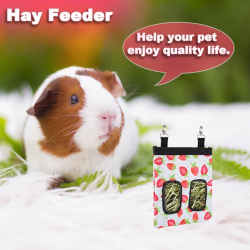 DZWLKJ Rabbit Hay Feeder, 600D Polyester, Hay Feede, Watermelon, Rabbit, Guinea Pig, Chinchilla, Hamsters, Small Pets, 1 Pack, Foldable, Lightweight - size: M -11"x 9"x 1"