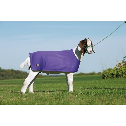 Weaver Leather Sheep Underblanket Large/Extra Large Purple