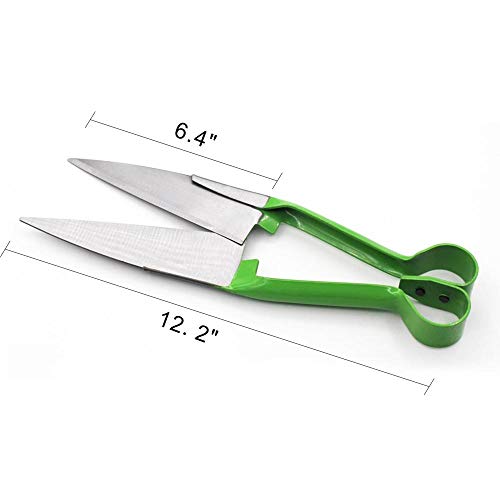 Sheep Shear Grass Shear Alpaca Shears R Shaped Design For Large Thick-Haired Animal Grooming (Green) - color: Green