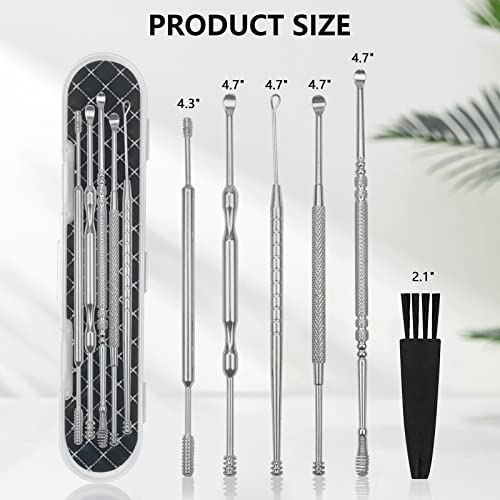 Hion 8 Pcs Ear Wax Removal Kit,Professional Double-Headed Ear Pick Earwax Removal Tools,316L Stainless Steel Ear Cleaner Curette with Cleaning Brush and Storage Box,Suit for Kid Adult(Silver) - color: Silver