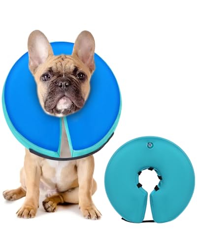 MIDOG Inflatable Dog Cone, Donut Recovery Collar After Surgery, Medium+ | Soft inflatable donut e-collar; stops licking after surgery; pet eats & sees normally; neck 14-18 in (M+); not for chewers - color: GreenBlue, size: Medium+ (Neck:14"-18")