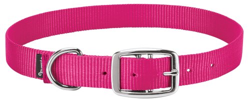 Weaver Leather Livestock Goat Collar