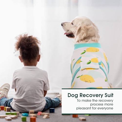 Kuoser Recovery Suit for Dogs Cats, Soft Dog Surgery Suit Female Male Spay | Professional Dog Onesie for Surgery, Substitute E-Collar & Cone, Prevent Licking Dog surgical suit Pet Neuter Suit - color: Lemon, size: X-small (Back:8.3-11.4'', Weight:4-7 Lb)