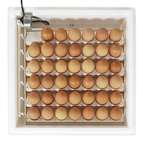 Farm Innovators 4250 Heated Digital Circulated Air Incubator with Automatic Egg Turner and 6 Pack of Small Egg Tray Rail with 20 Egg Capacit