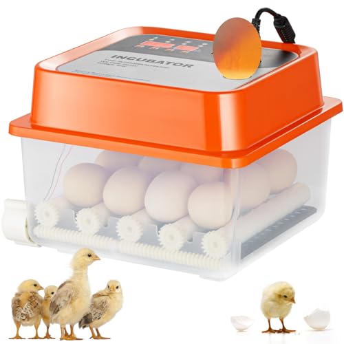 VEVOR 360° Automatic Egg Turner Egg Incubator (12 Egg)