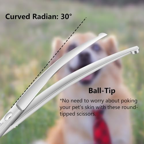 HASHIMOTO Curved Dog Grooming Scissors with Safety Round Tips, 6.5 inch. | Lightweight, No Stabbing with Blunt Tip, 440C Stainless Steel, Sharp, Friendly to amateur. - size: 6.5", style: Curved (Ball-Tip)