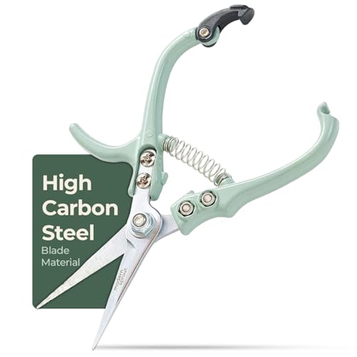Modern Sprout Pruning Shears - Garden Snips - Herb Scissors - Sage 1-Pack | Lightweight Gardening Tool - Durable Carbon Steel Blade W/Easy-Lock - Gardening Supplies - Flower Cutter - Reusable Holster - color: Sage