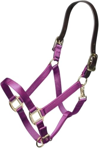 ARMA Shires Nylon Halter with Leather Head Strap - color: Purple, size: Full