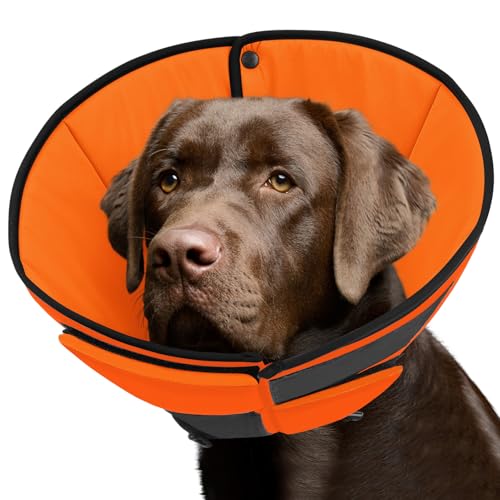 Soft Cone for Dogs After Surgery, Dog Cones for Large Dogs | Soft Fabric Dog Cone to Stop Licking, Elizabethan Collar for Pets, Alternative Recovery Collar for Wound Healing, Orange L - color: Orange, size: L