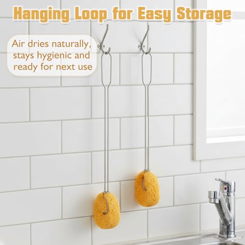 Cellulose Sponge Bottle Brush Set with Long & Short Handles, Non-Scratch Washing Cleaner for Wine Coffee Mug Glass Dishes with 6 Replacement Sponges - style: 2 Handles & 6 Sponges
