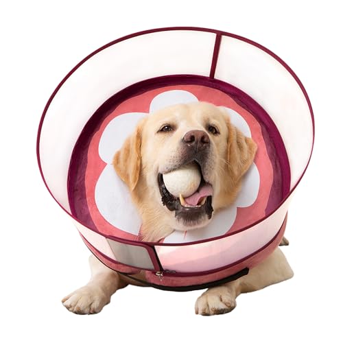 Inflatable Dog Cone Collar for Large Medium Small Dogs, Soft Dog Donut Collar Adjustable Recovery Cone for Pets After Surgery, Extra Enhanced Anti-Licking Guard Shield (Mangosteen, Large) - color: Mangosteen, size: Large