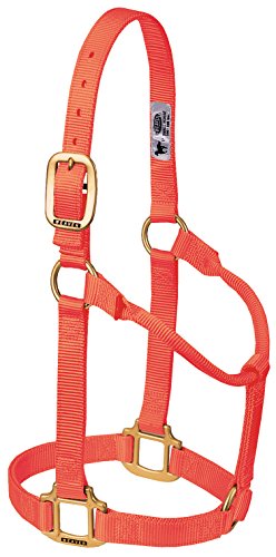 Weaver Leather Original Non-Adjustable Nylon Horse Halter