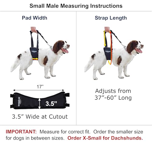 GINGERLEAD Dog Support Sling Rear Leg Harness, SM Male, Machine Wash & Dry | Fits Small to Medium Size Pets or Larger Barrel-Chested Breeds like Boxers, Bullies. Male Dachshunds use XS Size. Made in USA - size: Small - Male