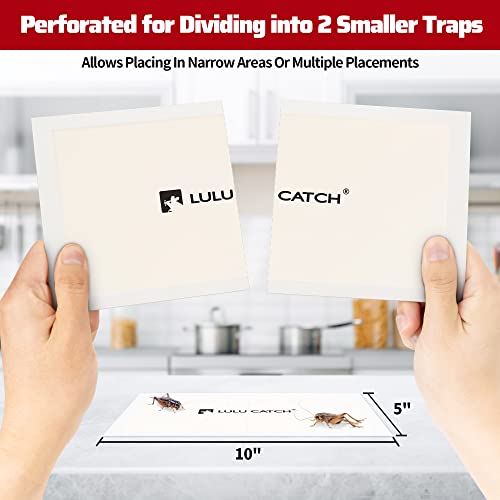 LULUCATCH Cricket Insect Glue Traps - 24 Pack Bug Cockroach Sticky Traps, Large Spider Trap with Pre-Baited Attractant, Highly Effective Glue Boards Indoor, Non-Toxic Pet Safe, Easy to Use - size: 24 Pack