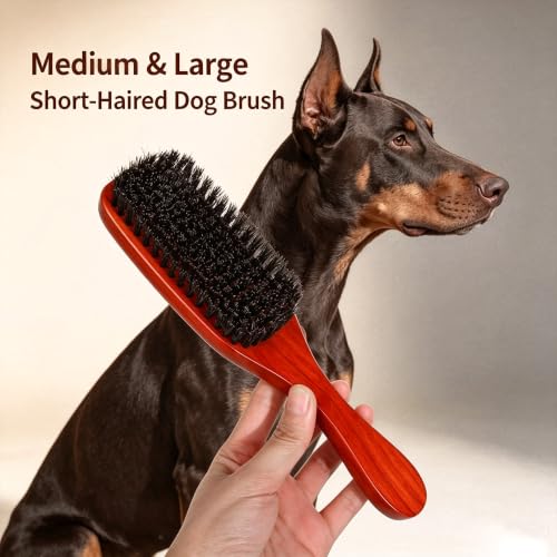 Boar Bristle Dog Brush for Short Haired Dogs, Natural Wooden Grooming Tool, Reduce Shedding, Detangle & Massage Sensitive Skin, Grooming to Calm Dogs & Build Pet Owner Bonding (Red sandalwood) - color: Red sandalwood