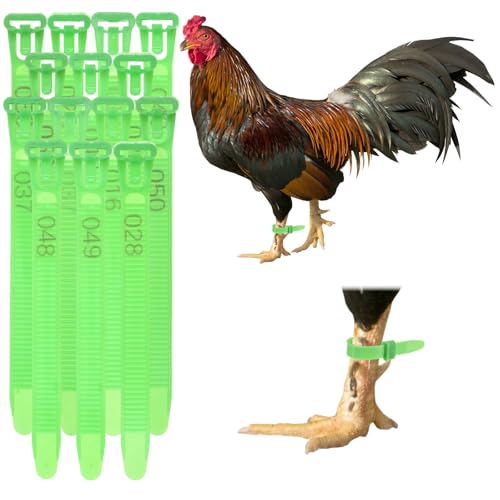 M METERXITY 100-Pack Adjustable Chicken Leg Bands, 10-28 mm Plastic Poultry Identification Chicken Leg Rings for Turkey/Duck/Goose/Chicks, Colorful Numbered Foot Clip on Tags [Green] - color: Green
