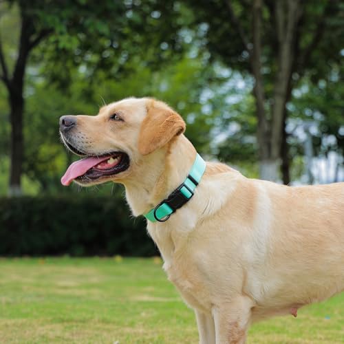 Waterproof Dog Collar, Easy to Clean Rubber Dog Collars with Quick Release Buckle Fits Small Medium or Large Dogs (Mint Green, S < 9.5-14.1 inch) - color: Mint Green, size: S (9.5-14.1 inch)