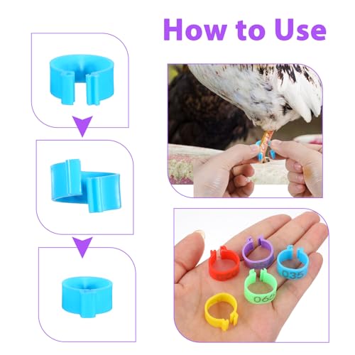 100 Pcs Adjustable Chicken Leg Bands, 16mm Chicken Identification Band, Color-Coded Leg Bands for Chickens, Clip-On Round Numbered Poultry Legs Tags for Chickens & Farmers Easy Flock Management