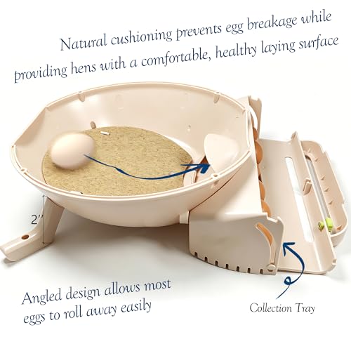Roll Away Chicken Nesting Box, Round Hen Laying Nesting Tray with Automatic Egg Collection, ABS Plastic Coop Insert or Freestanding Use (1 Pack)
